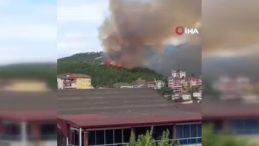 Kocaeli’de ağaçlık alanda yangın