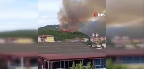 Kocaeli’de ağaçlık alanda yangın