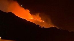 Marmara Adası’nda arazi yangını: İtfaiye ekipleri seferber oldu