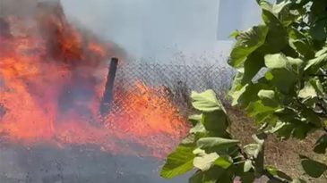 Karamürsel’den sonra Kandıra’da yangın