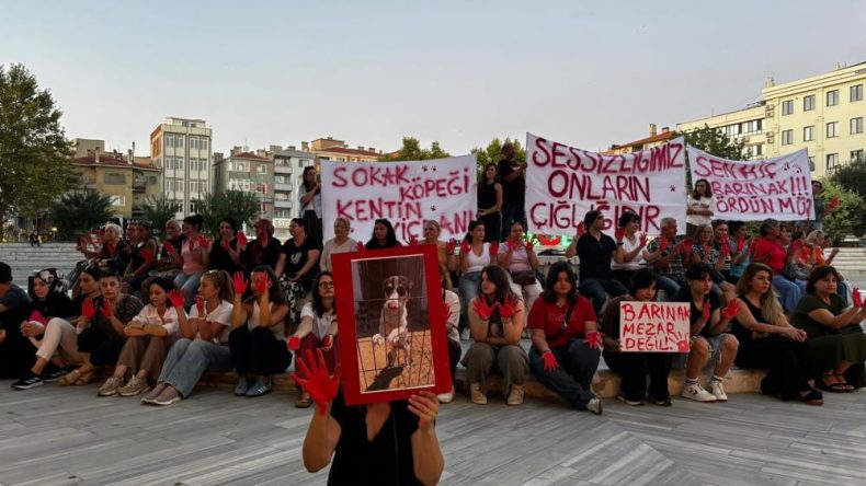 Belediye binası önünde eylem