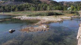 Sapanca Gölü’nde tarihi alarm: “Kriz yönetimine geçildi”