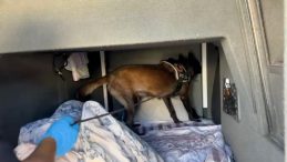 Şehirlerarası yolcu otobüsünde eroin ele geçirildi