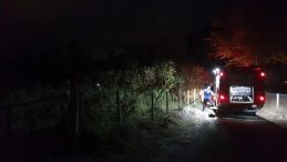 Fındıklıkta yakılan ateş yangına sebep oldu