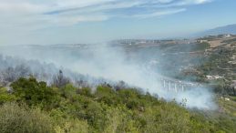 İzmit’te orman yangını: 1 saatte kontrol altına alındı