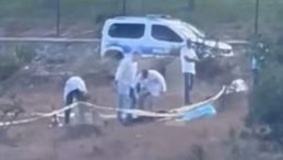 Yol kenarında ölü bulundu