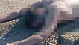 Sahilde erkek cesedi bulundu