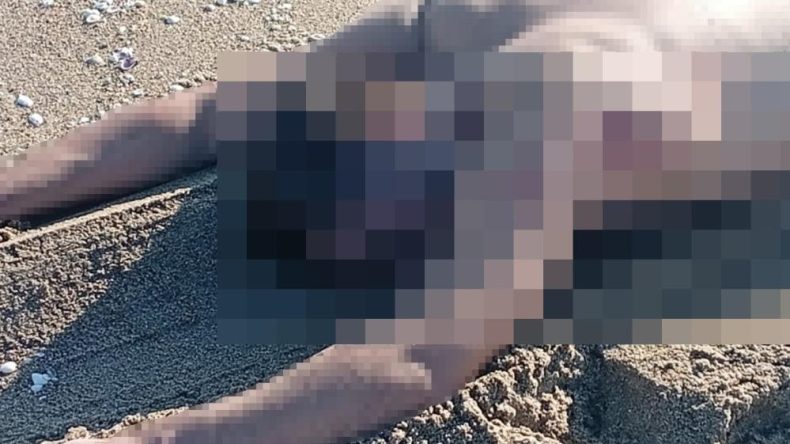 Sahilde erkek cesedi bulundu