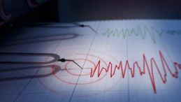 Marmara Denizi’nde deprem: Kocaeli’de de hissedildi