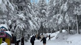 Bu kış çetin geçecek: Tarih verdi, lapa lapa kar yağacak