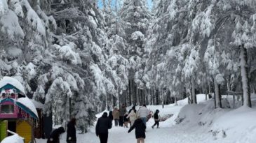 Bu kış çetin geçecek: Tarih verdi, lapa lapa kar yağacak