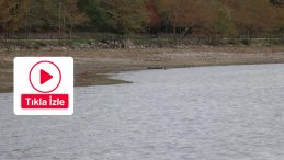 Sapanca Gölü’nde neler oluyor: Esrarengiz görüntü merak uyandırdı