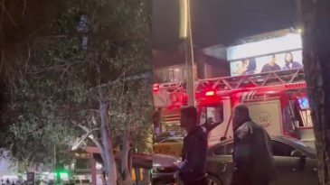 Topu almak için ağaca çıktı inemedi, yardımına itfaiye koştu