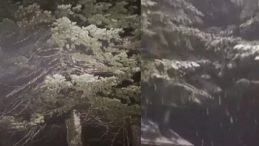 Kartepe’ye ilk kar düştü