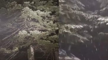 Kartepe’ye ilk kar düştü