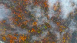 2025 yılı sona ererken kartpostallık görüntüler