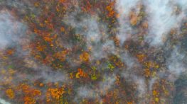 2025 yılı sona ererken kartpostallık görüntüler