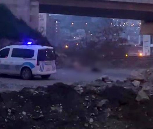 Köprü altında akıllara durgunluk veren görüntüler: Görenleri tedirgin etti