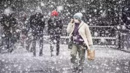Marmara için kar müjdesi: Kocaeli’ye lapa lapa kar yağacak