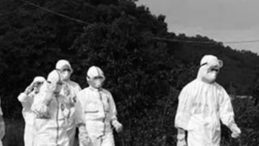 Kabus Kocaeli’nin yanı başında; 37 mahalle karantinaya alındı