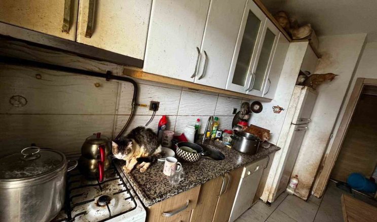 Evin kapısı açıldığında şok gerçek ortaya çıktı