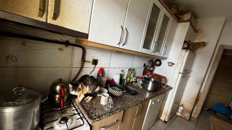 Evin kapısı açıldığında şok gerçek ortaya çıktı