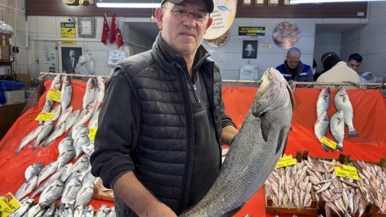 Balık tezgahlarında son durum