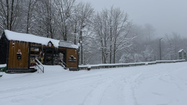 Lapa lapa kar yağıyor