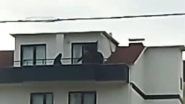 FETÖ operasyonu: Hapis cezası bulunan ihraç üsteğmen evin çatısında yakalandı