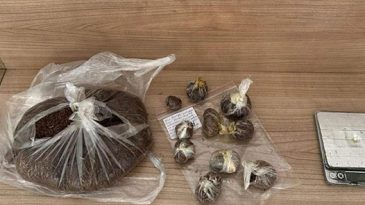 Kocaeli polisinden 41 günde narkotik operasyonlar: 62 tutuklama