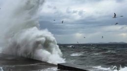 DİKKAT! Kocaeli için uyarı geldi