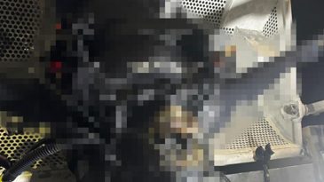 Denizden çıkan dalgıcın cesette dikkat çeken detay: Uzmanı analiz etti