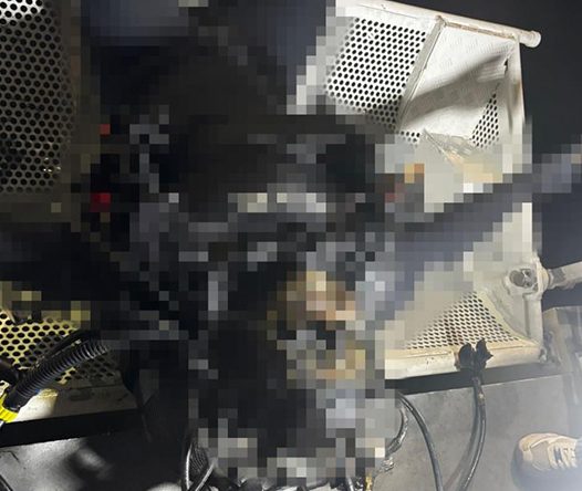 Denizden çıkan dalgıcın cesette dikkat çeken detay: Uzmanı analiz etti