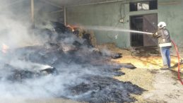 Kartepe Tepetarla’da yangın