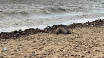 Sahilde kadın cesedi bulundu