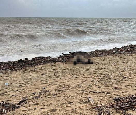 Sahilde kadın cesedi bulundu