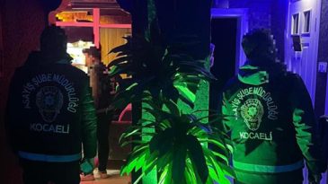 Polisten masaj salonlarına denetim