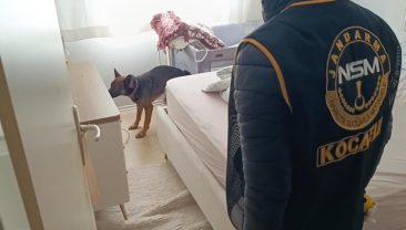 Jandarma’dan 40 adrese uyuşturucu baskını: 36 gözaltı