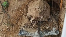 Bahçede yapılan kazıda insan kafatası ve kemikler bulundu