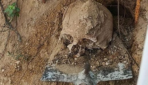 Bahçede yapılan kazıda insan kafatası ve kemikler bulundu