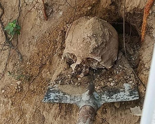 Bahçede yapılan kazıda insan kafatası ve kemikler bulundu