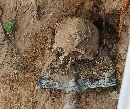 Bahçede yapılan kazıda insan kafatası ve kemikler bulundu