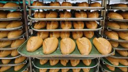 ‘Halk Ekmek’te ekmek fiyatı belli oldu