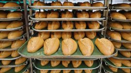 ‘Halk Ekmek’te ekmek fiyatı belli oldu