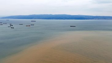 Derenin taşıdığı çamur denizin rengini değiştirdi