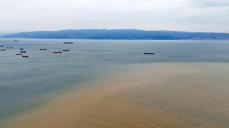 Derenin taşıdığı çamur denizin rengini değiştirdi