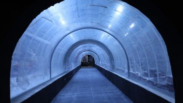 Kocaeli’de su altında dünya turu başlıyor: 30 farklı akvaryumla eşsiz gezi