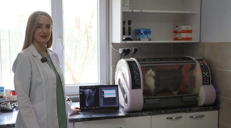 Kral ölümden döndü, zorlu ameliyat başarıyla tamamlandı