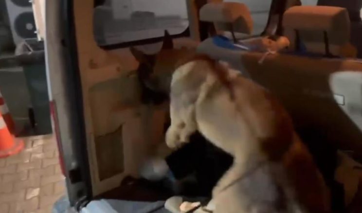 Emniyet’ten Kuzey Marmara Otoyolu’nda uyuşturucu operasyonu