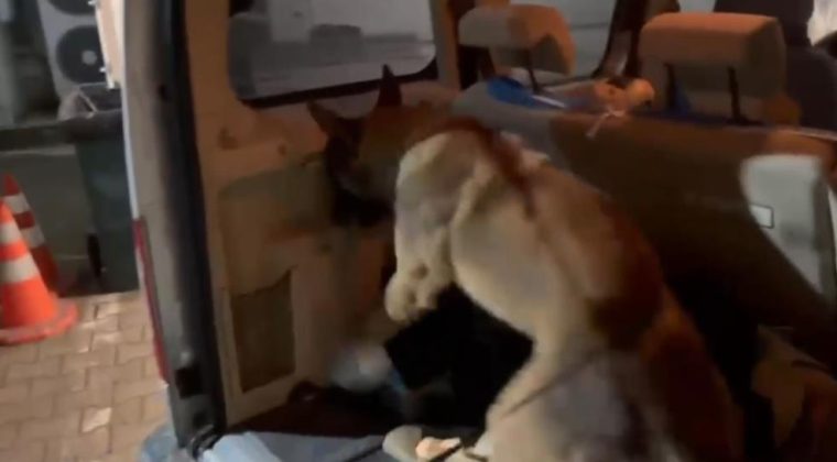 Emniyet’ten Kuzey Marmara Otoyolu’nda uyuşturucu operasyonu